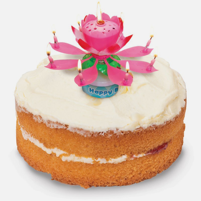 Bougie Musicale Fleur Objet Fun Et Humoristique Bougie Musicale Fleur Objet Fun Et Humoristique