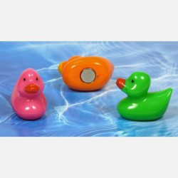 Porte clés Canard Guitare – Canard de Bain