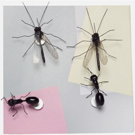 Boutique-Originale : Magnet - Insectes