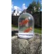 Boutique-Originale : Poisson arroseur