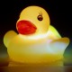 Boutique-Originale : Canard lumineux