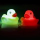 Boutique-Originale : Canard lumineux