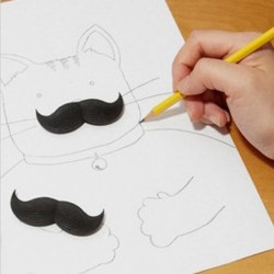 Gommes moustache (x2)