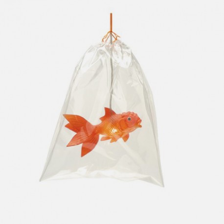 Boutique-Originale : Lampe poisson