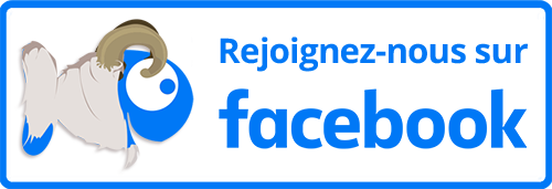 Boutique-Originale.com : Suivez-nous sur Facebook